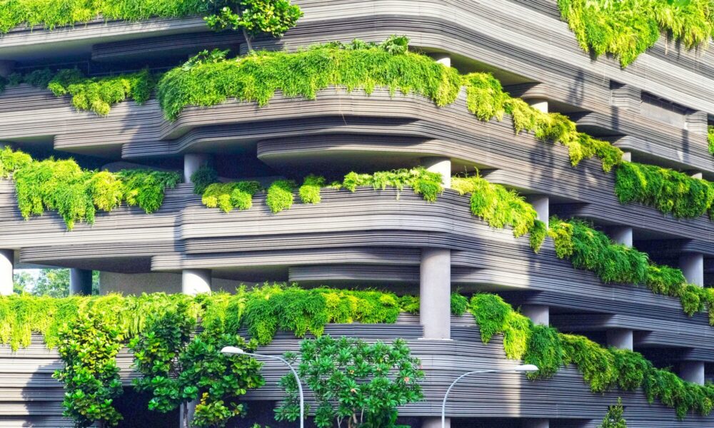 why-eco-luxury-is-the-next-big-market-for-tech-savvy-entrepreneurs
