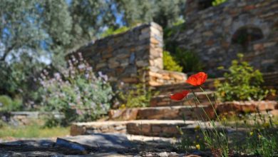 financially-savvy-outdoor-upgrades-that-enhance-your-property