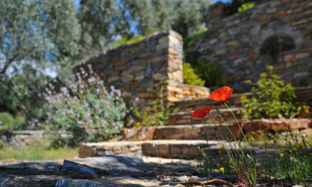 financially-savvy-outdoor-upgrades-that-enhance-your-property