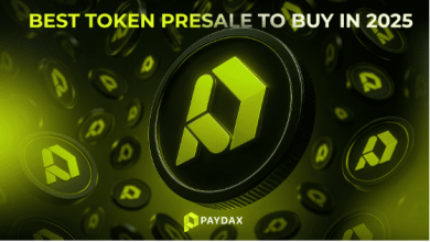 paydax-protocol-(pdp)-gains-traction-as-the-best-token-presale-to-buy-in-2025,-but-why?